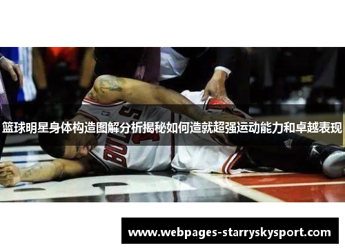 篮球明星身体构造图解分析揭秘如何造就超强运动能力和卓越表现