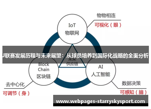 J联赛发展历程与未来展望：从球员培养到国际化战略的全面分析